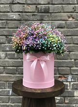Цветочная композиция из Гипсофила и Розы в шляпной коробке в Малой Вишере