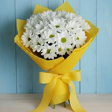 Букет цветов из:  Хризантемы в Малой Вишере