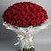 Букет 101 Красная роза Блэк Мэджик в Малой Вишере