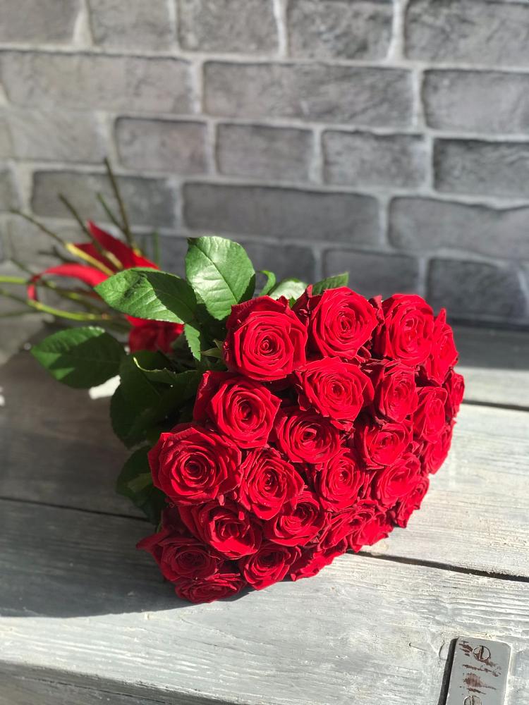 Букет Красные розы Фридом в Малой Вишере