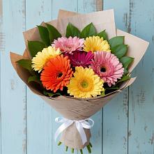 Букет цветов из:  Герберы #REPLACE_PRED# Малой Вишере