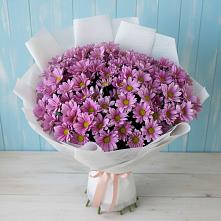 Букет цветов из:  Хризантемы в Малой Вишере