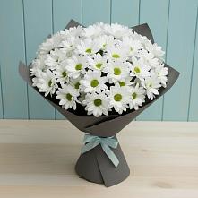 Букет цветов из:  Хризантемы в Малой Вишере