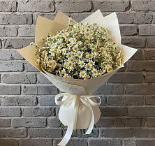 Букет цветов из:  Ромашки #REPLACE_PRED# Малой Вишере
