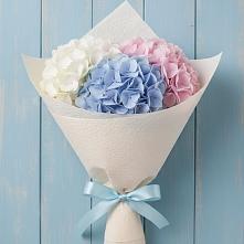 Букет цветов из:  Гортензия в Малой Вишере