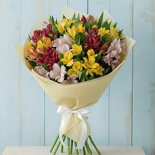 Букет цветов из:  Альстромерии #REPLACE_PRED# Малой Вишере
