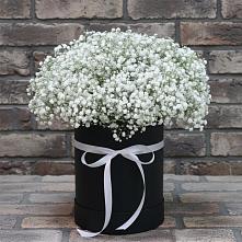 Цветочная композиция из Гипсофила в шляпной коробке в Малой Вишере