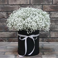 Цветочная композиция из Гипсофила в шляпной коробке в Малой Вишере