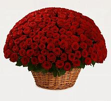 Премиум букет из: Розы #REPLACE_PRED# Малой Вишере