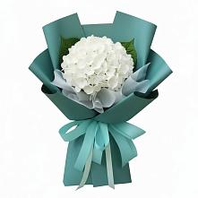 Букет цветов из:  Гортензия в Малой Вишере